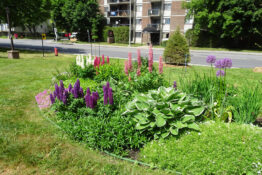 Jardin au printemps